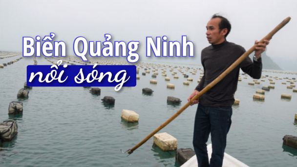 [Bài 2]: Cắm nhà, cắm cả mạng sống