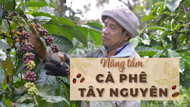 Cuộc 'cách mạng' trên những khu vườn