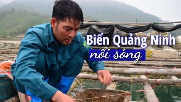[Bài 4] Quy định của Bộ Tài nguyên và Môi trường xa rời thực tế nuôi biển