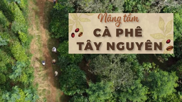 Bền vững từ mô hình cà phê cảnh quan