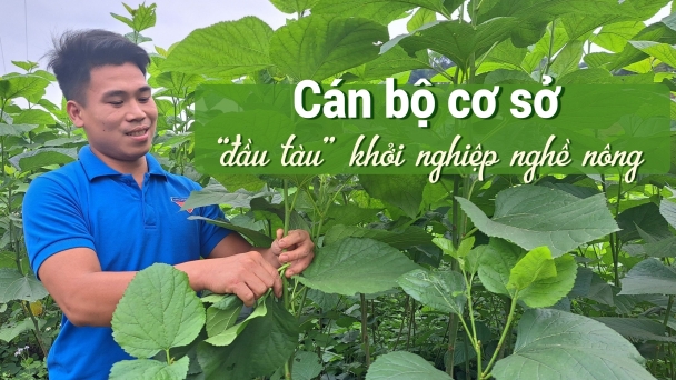 Trưởng thôn tuổi teen 'làm mẫu' cho bà con làm giàu