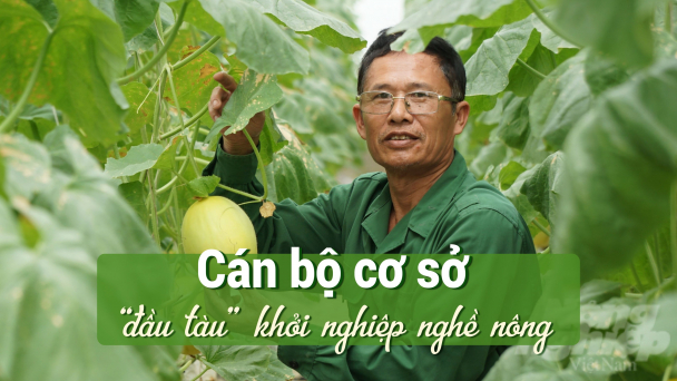 Chủ tịch xã xin nghỉ hưu non để… khởi nghiệp