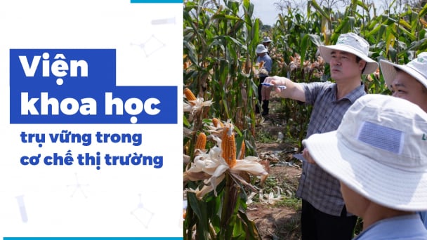 Viện trưởng phải như người thợ cả