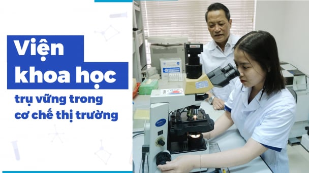Còn 'gọt chân cho vừa giày', còn 'đút ngăn kéo'