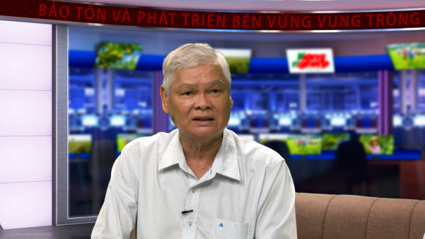 Nhận biết và quản lý bệnh vàng lá thối rễ, khô đầu múi trên quýt hồng