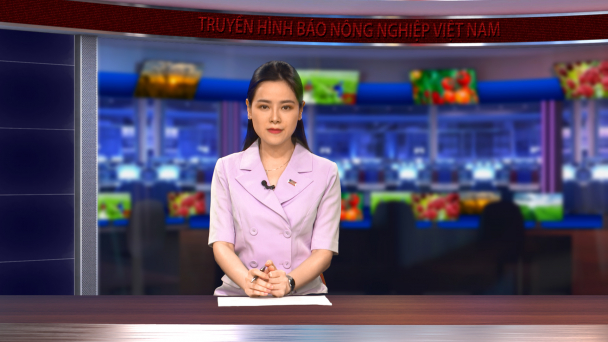 Nâng cao giá trị cà phê với các mô hình canh tác hữu cơ