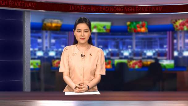 Yók Đôn giao khoán bảo vệ rừng cho cộng đồng, truy quét các điểm nóng