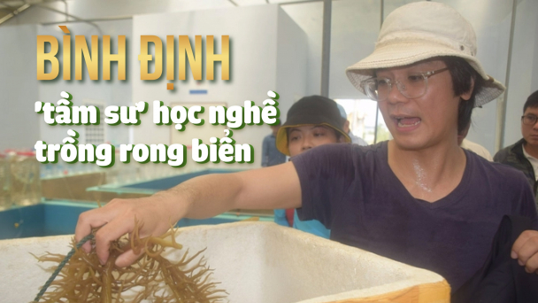 Tiềm năng lớn, nghề không mới, nhưng yếu kỹ thuật