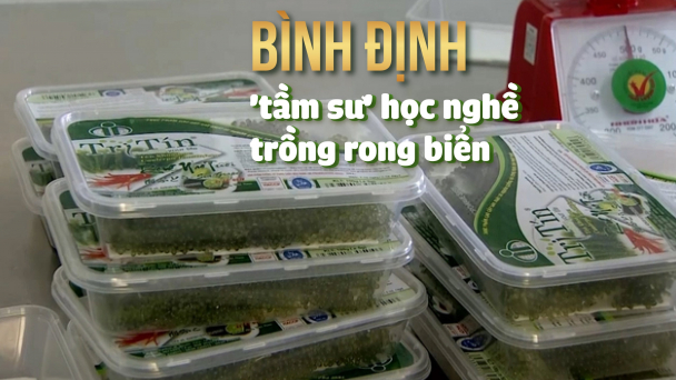 Giống đã có, kỹ thuật đã nắm, chờ cơ hội phát triển