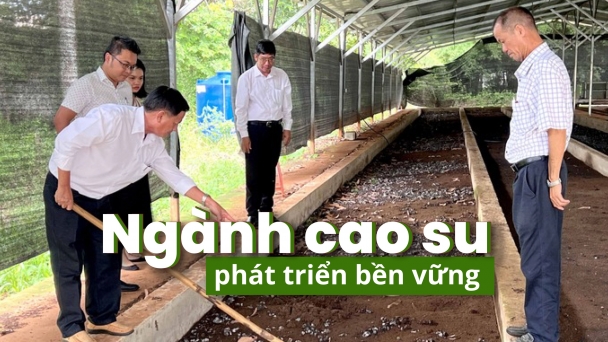 Xanh - sạch - đẹp: Tốt môi trường, giảm chi phí