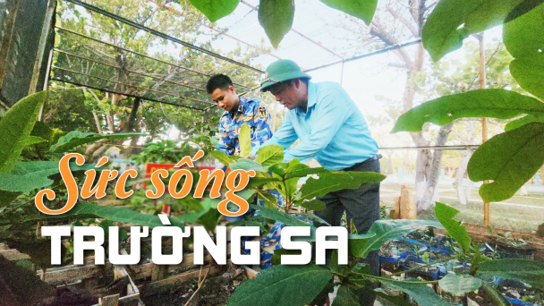 Những 'công viên xanh' giữa biển khơi