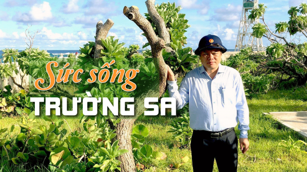 Người hơn chục lần 'cưỡi sóng' đưa màu xanh ra Trường Sa
