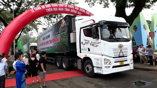 Đồng Nai xuất khẩu chính ngạch hơn 450 tấn sầu riêng sang Trung Quốc