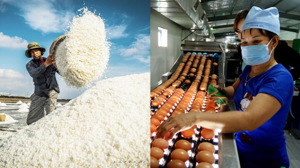 Bộ Công thương ban hành hạn ngạch nhập khẩu muối và trứng gia cầm
