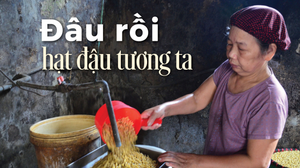 [Bài 3]: Đậu phụ gù Trà Lâm, Bắc Ninh