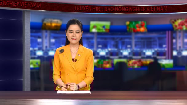'Trang điểm' cho công trình thủy lợi để hút du khách