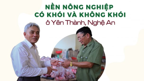 [Bài 4]: Vị thủ lĩnh đầu bạc ở một HTX Nông nghiệp trả lương 20 triệu/tháng