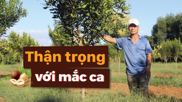 Nông dân háo hức, chính quyền mù mờ