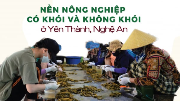 Yên Thành cần phải kết hợp cả hai nguồn lực trong và ngoài để làm giàu