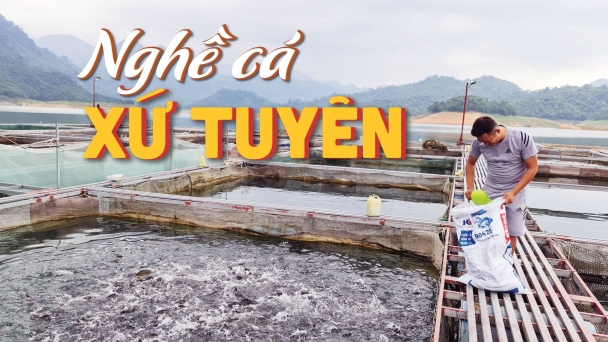 [Bài 3] Làng chài trên hồ thủy điện