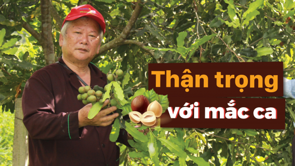Yên Bái 'chậm nhưng chắc'
