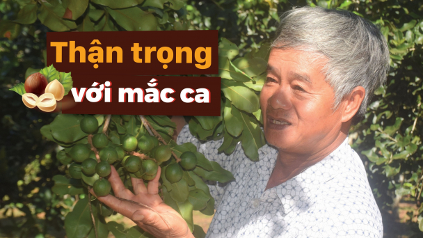 Trồng thử cả huyện, duy nhất một xã có quả