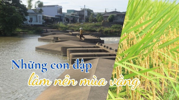 Con đập chia nước 3 dòng sông được 7 tổ chức tự nguyện xây dựng