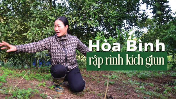 [Bài 2]: Trắng đêm với 10 'mắt thần' ngăn trộm
