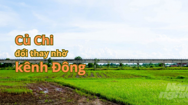 Tiết kiệm nước kênh Đông bằng công nghệ