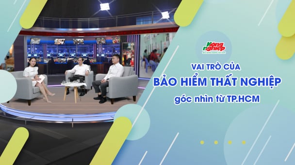 Vai trò của Bảo hiểm thất nghiệp - Góc nhìn từ TP.HCM