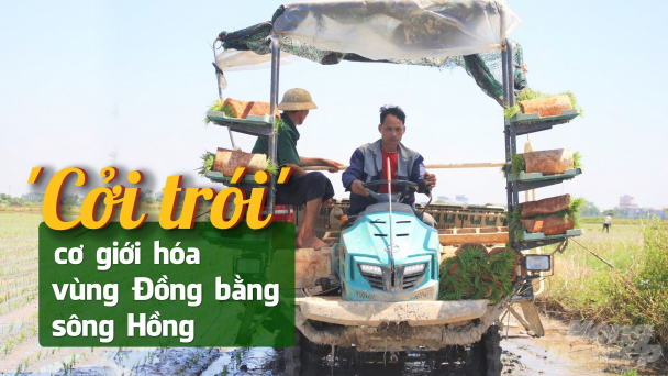 Cấy máy gỡ nhiều nút thắt nhưng vẫn khó nhân rộng