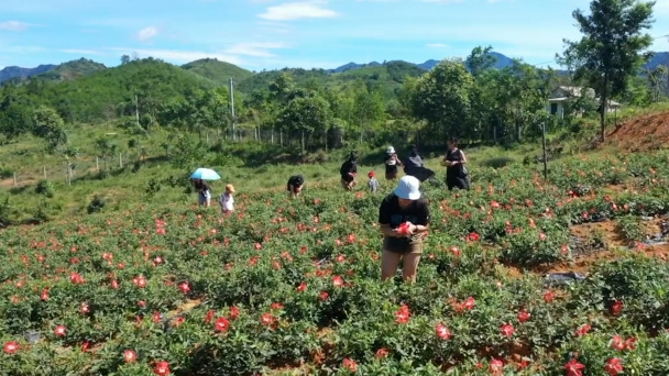 Du lịch nông nghiệp A Lưới - trải nghiệm thú vị