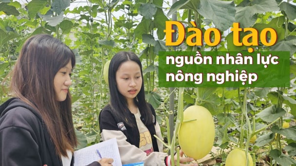 Doanh nghiệp 'khát' lao động, nhà trường vắng sinh viên
