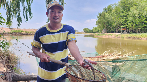 Lập cơ sở dữ liệu hỗ trợ sinh kế cho hộ nông thôn ĐBSCL