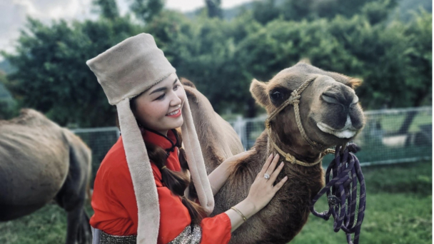 Nội Mông bên trong An Hảo Solar