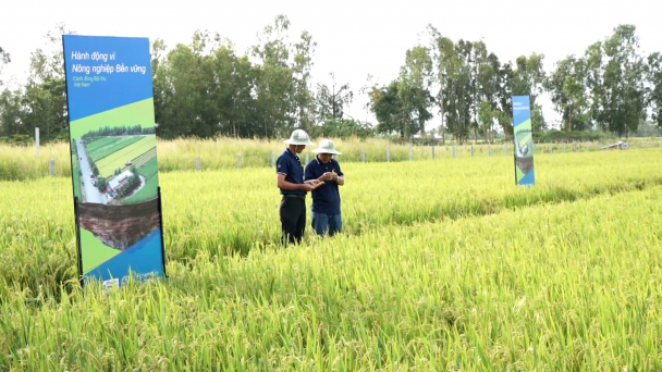 Việt Nam là nước đầu tiên tại Đông Nam Á ra mắt mô hình Forward Farm