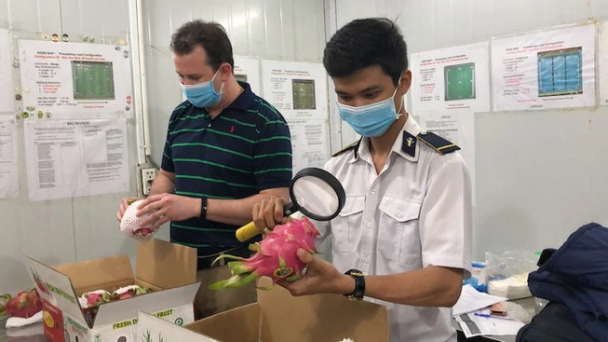 Đề nghị Vương quốc Anh giữ nguyên quy định với thanh long nhập khẩu Việt Nam