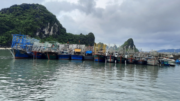 Không để tàu cá vi phạm khai thác IUU ra khơi