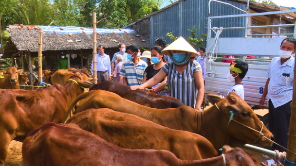 Hỗ trợ 2,7 tỉ đồng tạo sinh kế cho 85 hộ dân