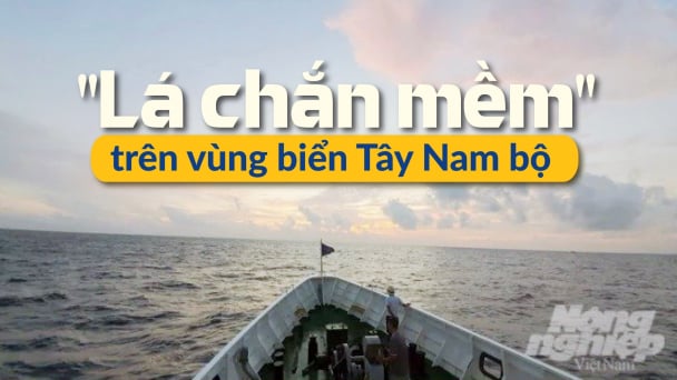 [Bài 5] Ngăn chặn tàu cá vi phạm IUU phải từ trong bờ