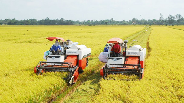 Đưa Trung tâm liên kết nông sản ĐBSCL thành hạt nhân nông nghiệp hiện đại
