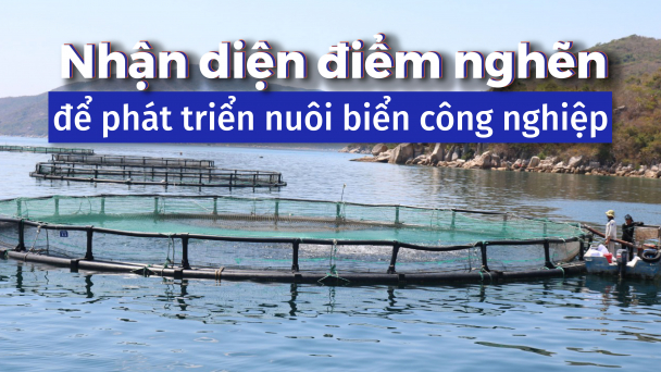 Cần khẩn trương quy hoạch không gian biển