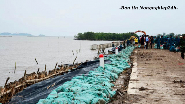 ASEAN đạt nhiều kết quả thiết thực trong phòng chống thiên tai