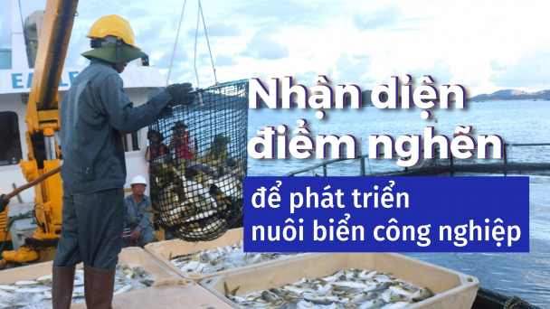 Nhân lực chất lượng cao rất hiếm, khó tìm