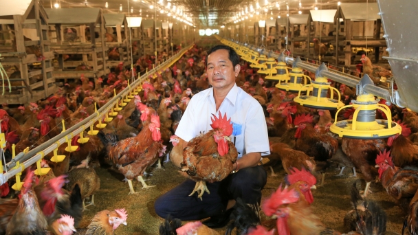 145/153 trang trại chăn nuôi ứng dụng công nghệ cao, an toàn dịch bệnh