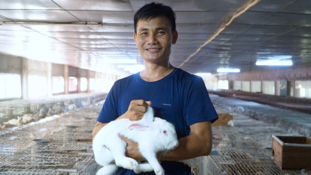 Nuôi 3.000 con thỏ an toàn dịch bệnh, mỗi tháng thu lợi gần 20 triệu đồng