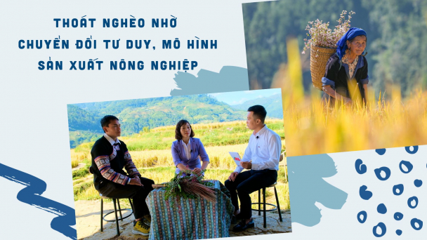 Thoát nghèo nhờ chuyển đổi tư duy, mô hình sản xuất nông nghiệp
