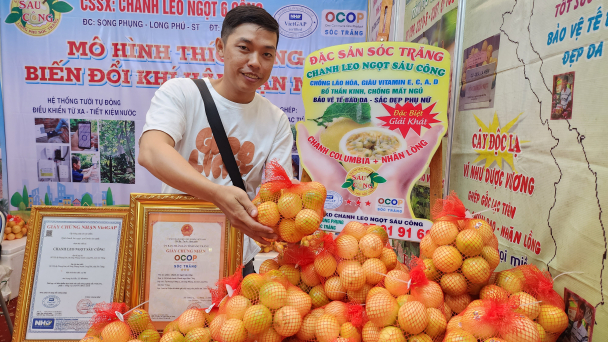 Sóc Trăng mời gọi doanh nghiệp liên kết trồng chanh leo xuất khẩu