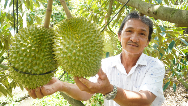 Lợi thế cạnh tranh của sầu riêng Việt Nam với các nước trên thế giới