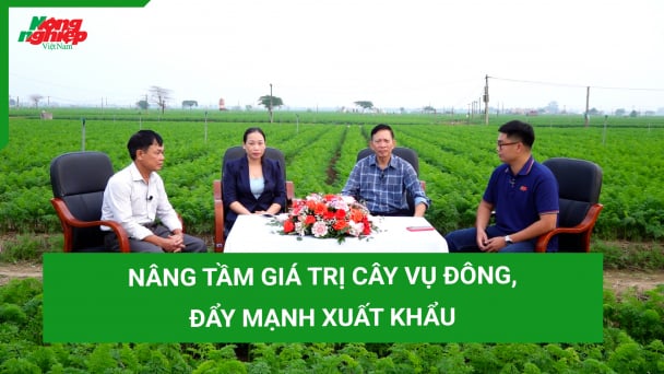 Nâng tầm giá trị cây vụ đông, đẩy mạnh xuất khẩu